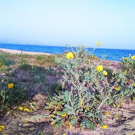 Infinite Blue Horizon Elegance Hospitality Willa