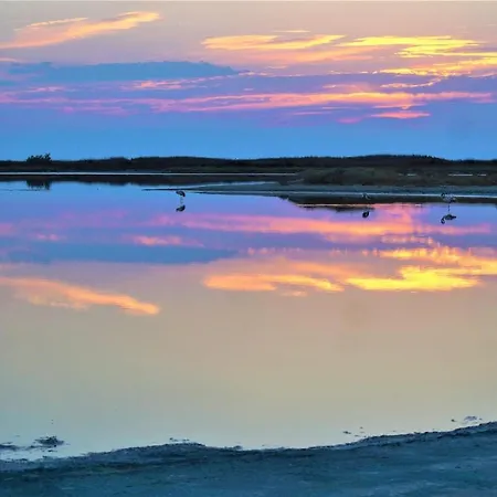 Infinite Blue Horizon Elegance Hospitality *