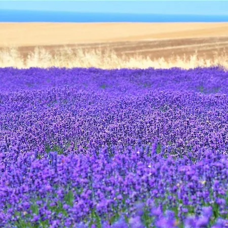 Infinite Blue Horizon Elegance Hospitality Epanomí