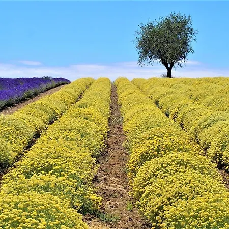Villa Infinite Blue Horizon Elegance Hospitality Epanomí