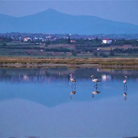 Infinite Blue Horizon Elegance Hospitality *